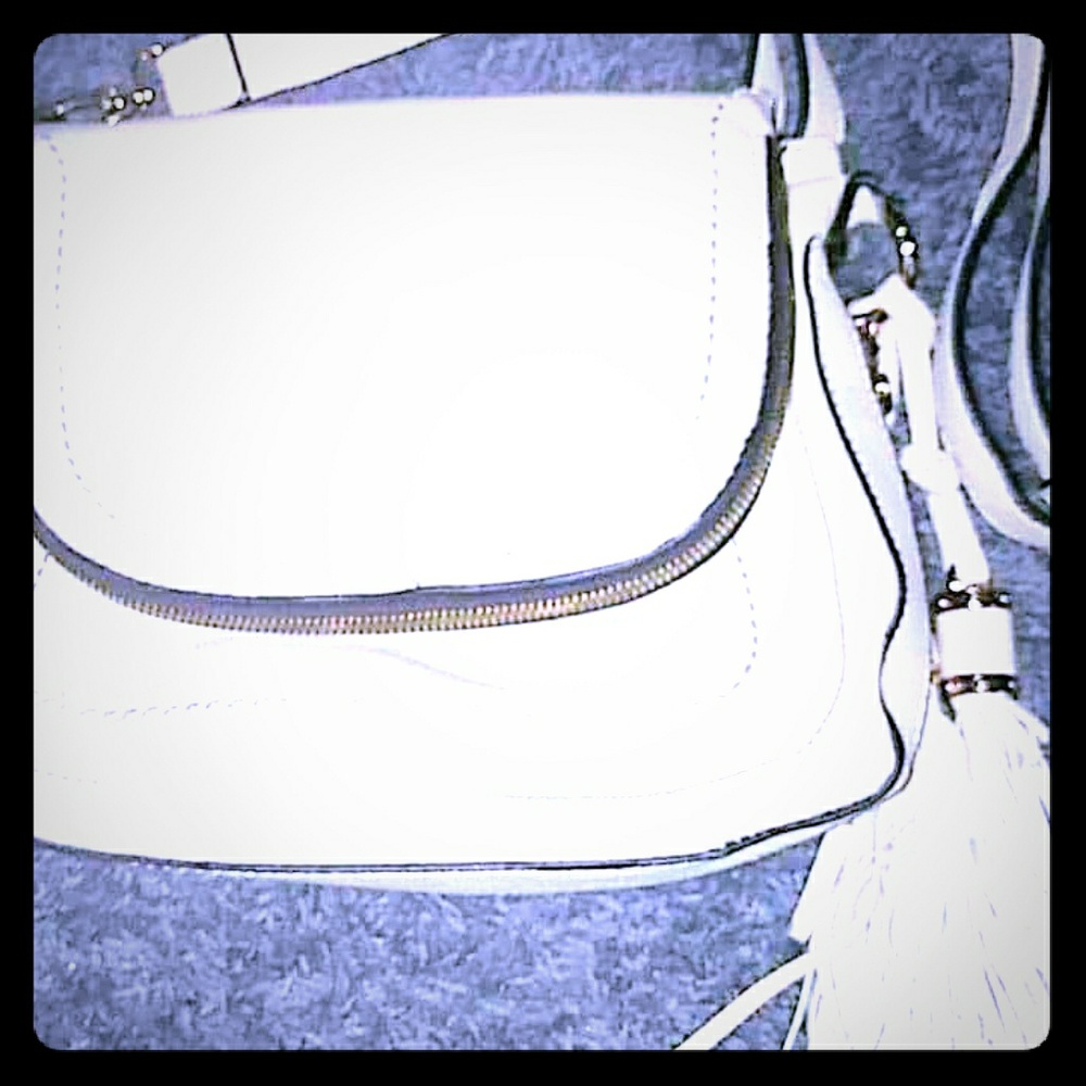Aldo Purse